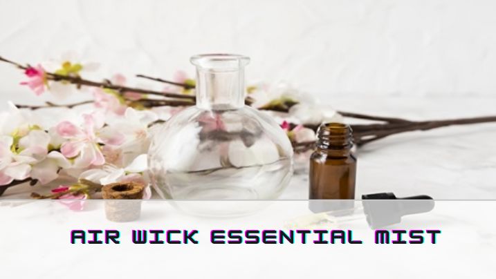 The Essential Guide to Aromatherapy Elevate Your Senses with Essential Oil Products